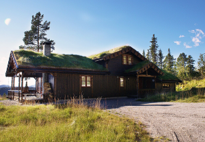 Идеальный проект дачного домика